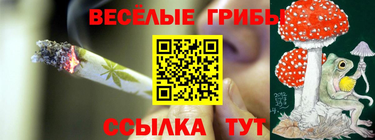 Галлюциногенные грибы GOLDEN TEACHER  Вход с VPN  Старый Оскол 